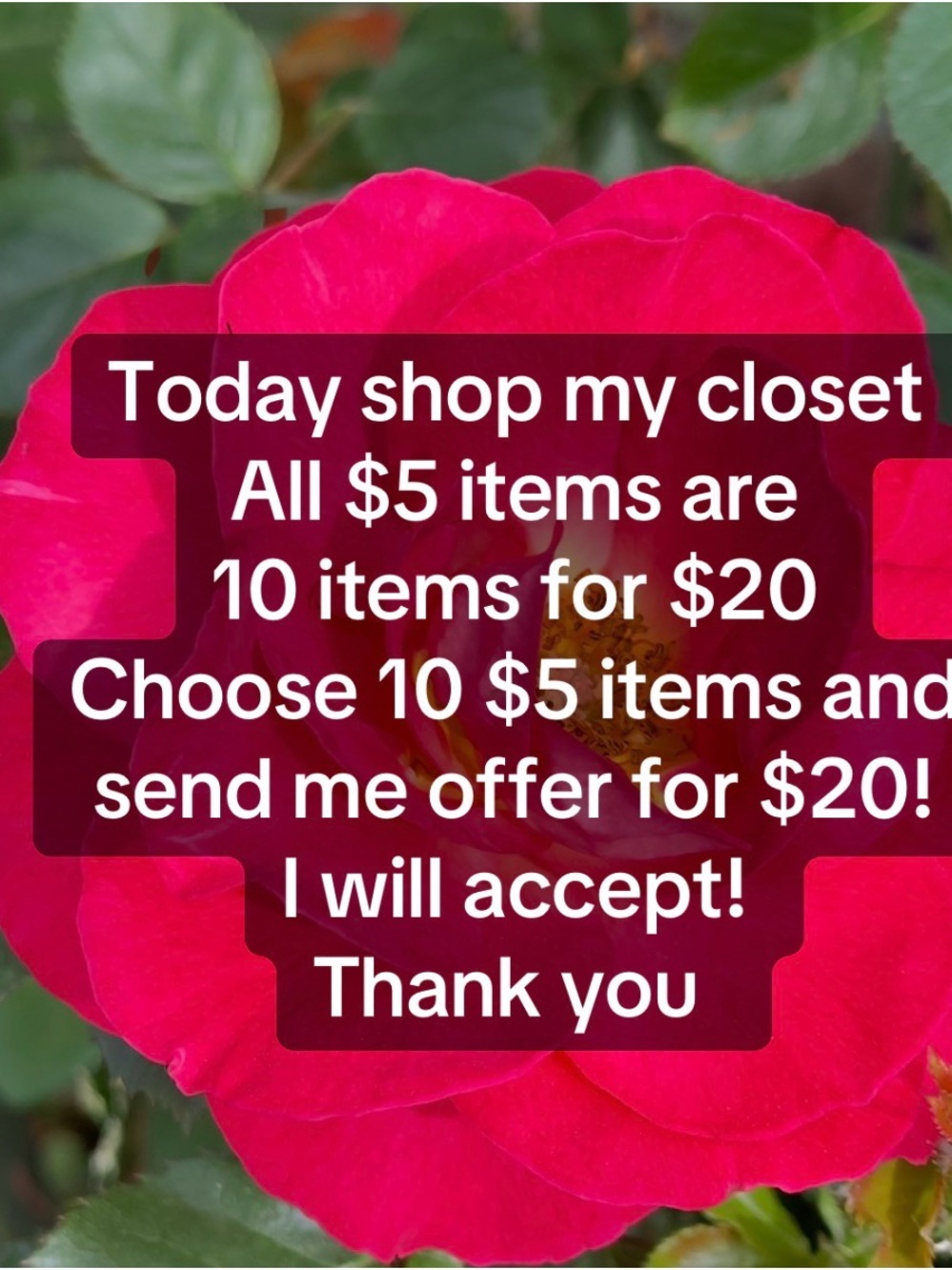 10 $5 items for $20!! Today only